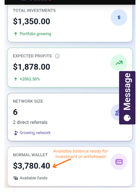 Normal Wallet (Purple Border)
