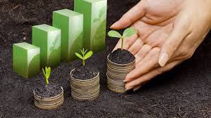 Investment Portfolio